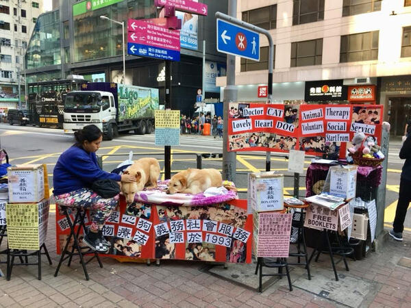 (2025) Hong Kong